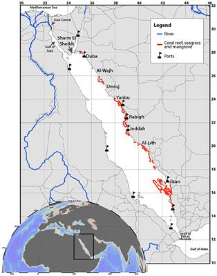 Low Abundance of Plastic Fragments in the Surface Waters of the Red Sea